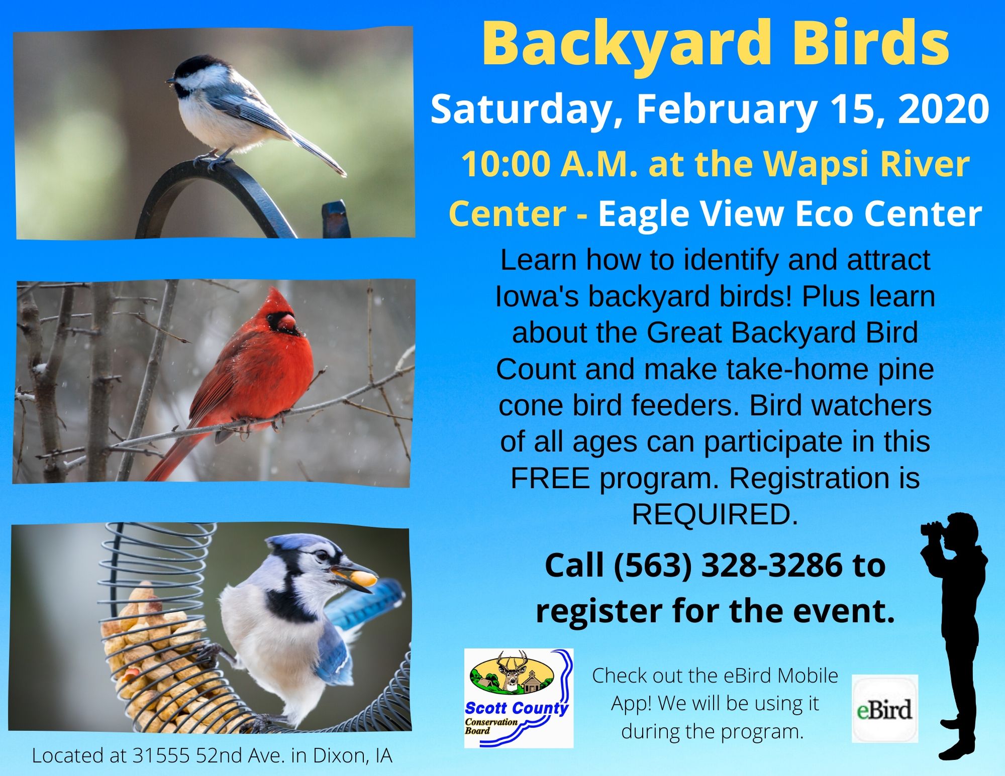 Backyard Birds Scott County, Iowa